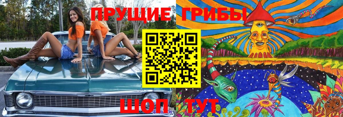 Псилоцибиновые грибы мицелий  Вход с VPN  Знаменск  Псилоцибиновые грибы мухоморы 